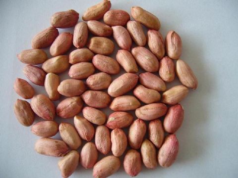 Peanut Kernels